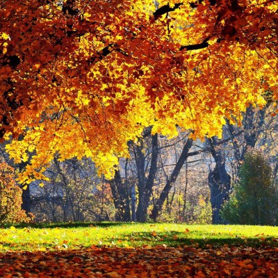 1920 x 1080 HD Wallpapers 1750